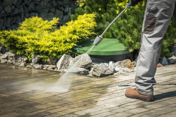 Best Animal Enclosure Cleaning  in Olcott, NY